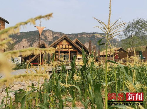 易县 农业 旅游 产业融合助农增收