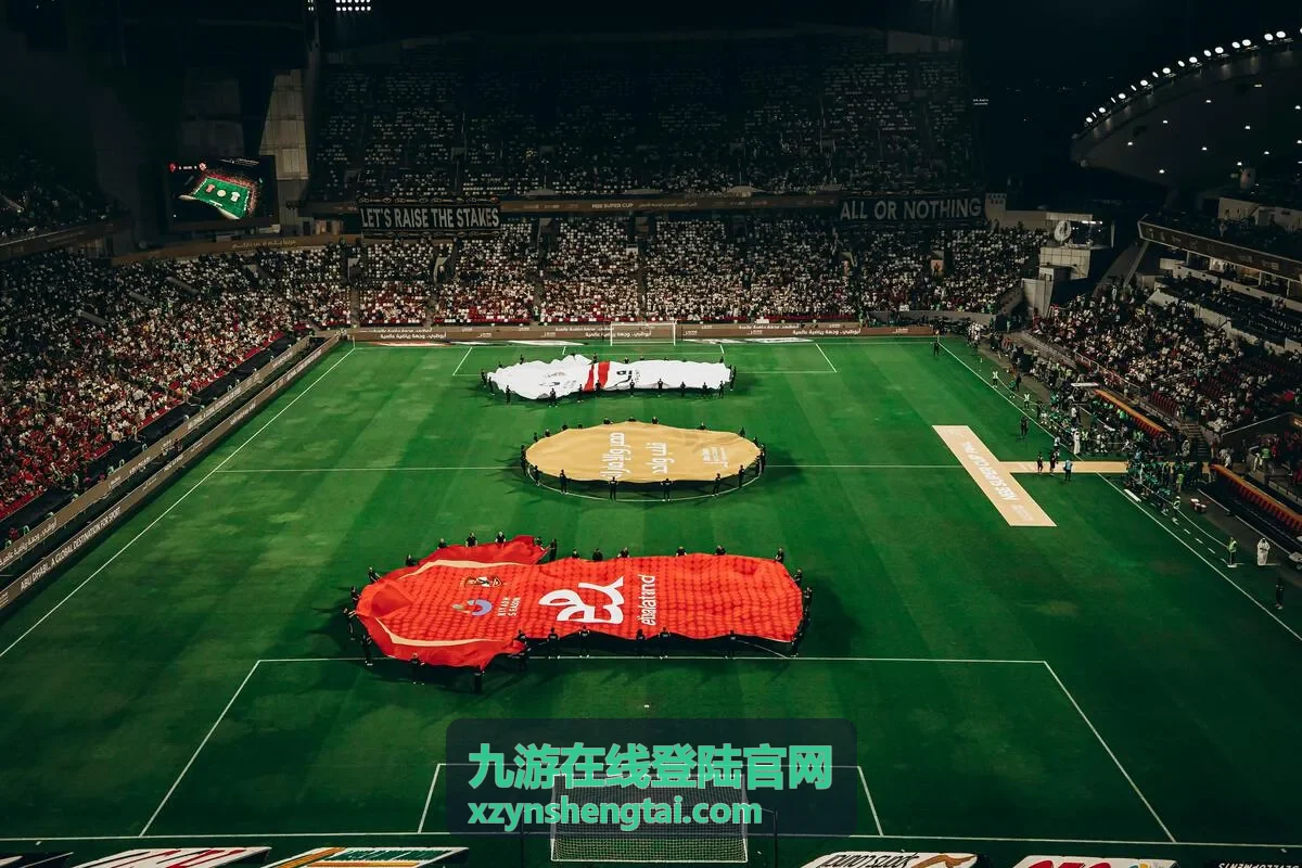 九游在线登陆官网数据与记录查看列表示意