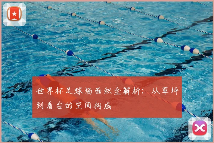 世界杯足球场面积全解析：从草坪到看台的空间构成
