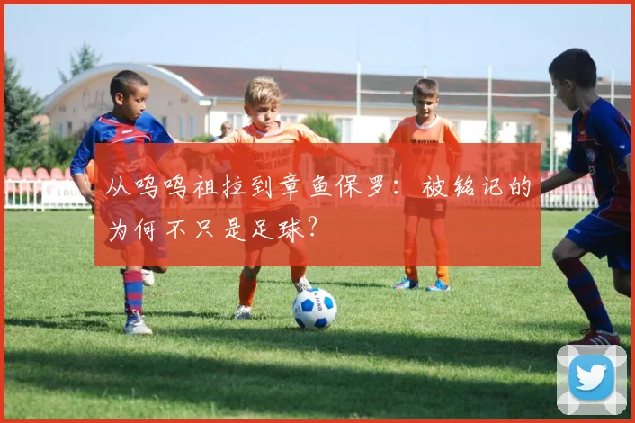 从呜呜祖拉到章鱼保罗：被铭记的为何不只是足球？